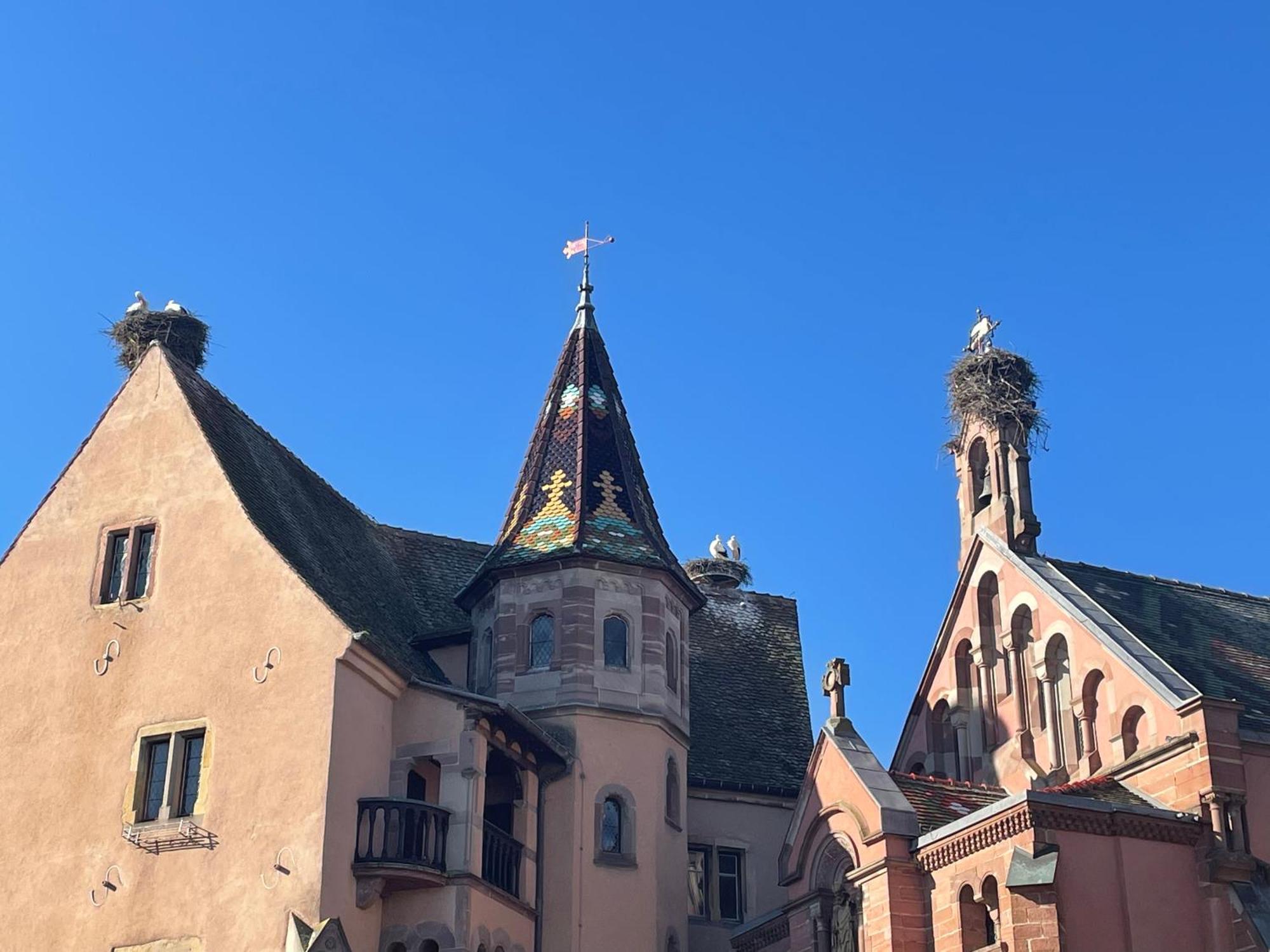 Appartement Le Ch'Ti Alsacien エーグイスハイム エクステリア 写真